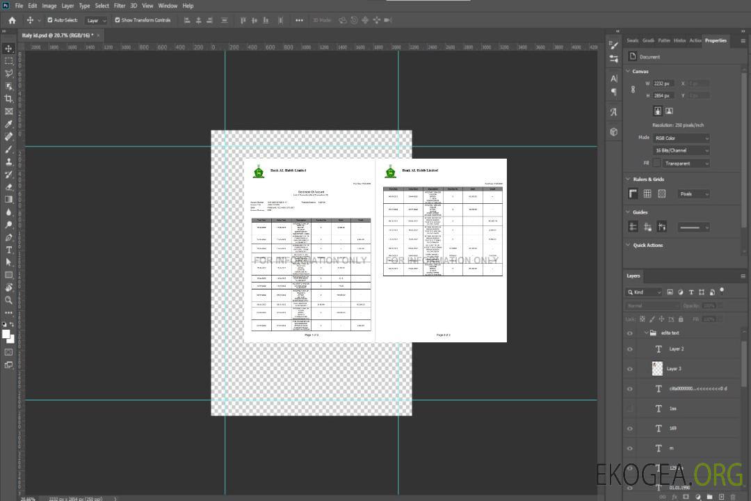 Déclaration de la Pakistan Bank Al Habib 2 pages template Déclaration de la Pakistan Bank Al Habib 2 pages template